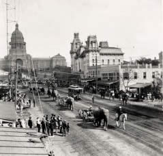 Photograph of scene on Congress Avenue showing elephants and horses in the street with Capitol in background