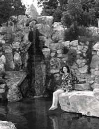 Photograph of waterfall in Oriental Garden