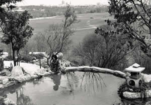 Photograph showing pond in foreground, overlooking the Zilker playing fields