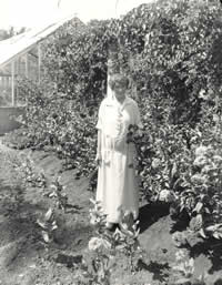 Photograph of Myrtle Neff among shrubs of Governor's Mansion grounds