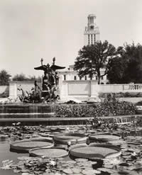 Photograph of Littlefield Fountain with Main Tower in background