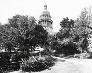 Photograph of Capitol grounds showing trees and shrubs with Capitol dome in background