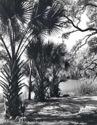 Photograph of grounds of Laguna Gloria with Lake Austin in background