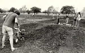 Photograph of gardeners working with tillers and hoes to prepare the soil for planting