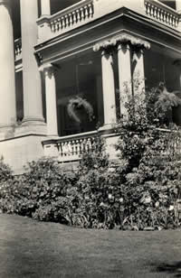 Photograph of ferns hanging on the porch of the Wooten Residence