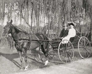Photograph of couple in horse-drawn buggy
