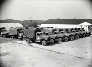 Photograph of three rows of Texas State Guard Army trucks lined up in front of wooden building and Quonset hut